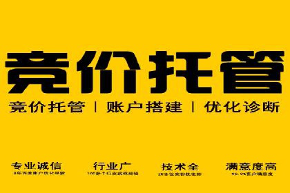 成功案例分享：SEM托管服务助力企业提升竞争力
